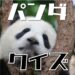 パンダに関する豆知識・雑学クイズ6問・子供から高齢者まで楽しめる！動物クイズパート1
